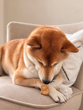 Pumpkin Cookie