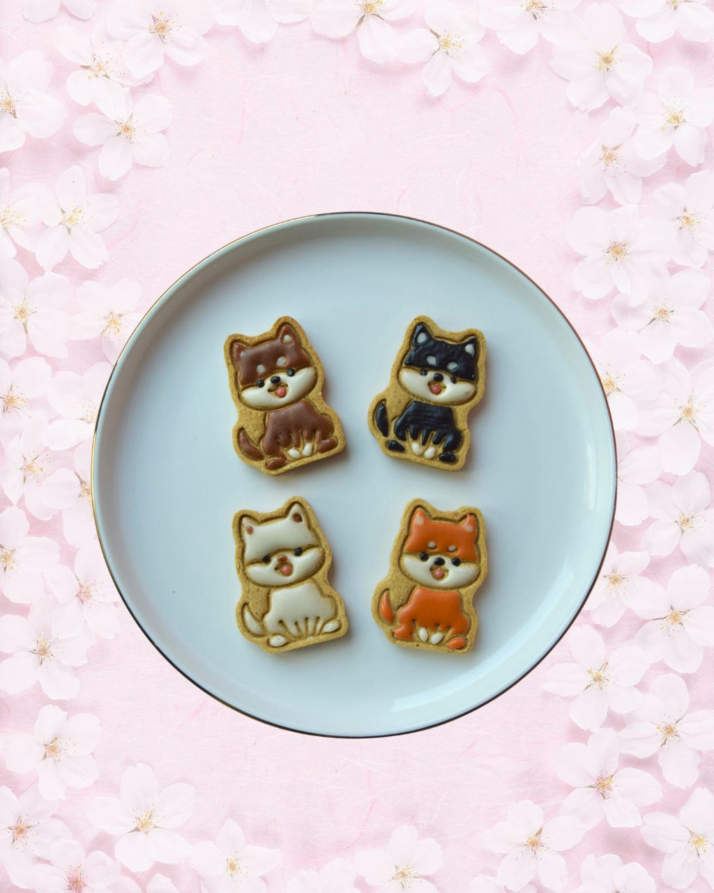 Shiba Inu