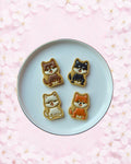 Shiba Inu